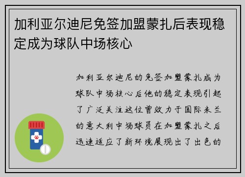加利亚尔迪尼免签加盟蒙扎后表现稳定成为球队中场核心